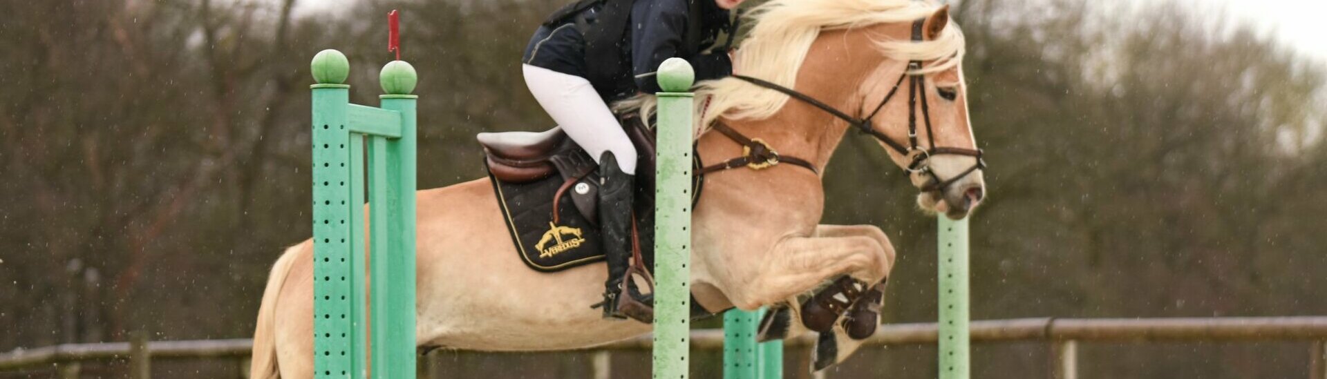 Compétition, dressage, saut d'obstacles Senantes en Selle